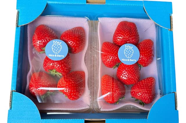 宇都宮のとちあいか専門いちご農園｜直売所・通販｜NICO&BERRY
