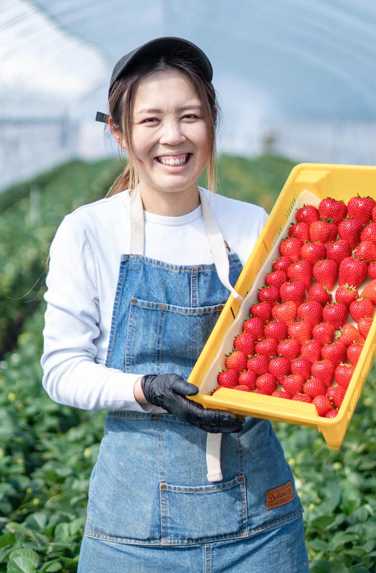 宇都宮のとちあいか専門いちご農園｜直売所・通販｜NICO&BERRY