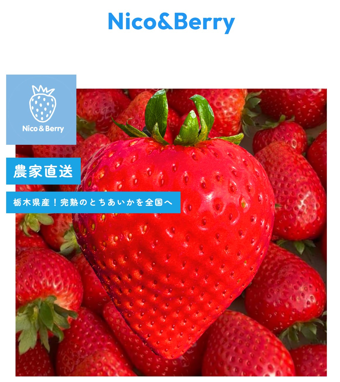 オンラインショップ