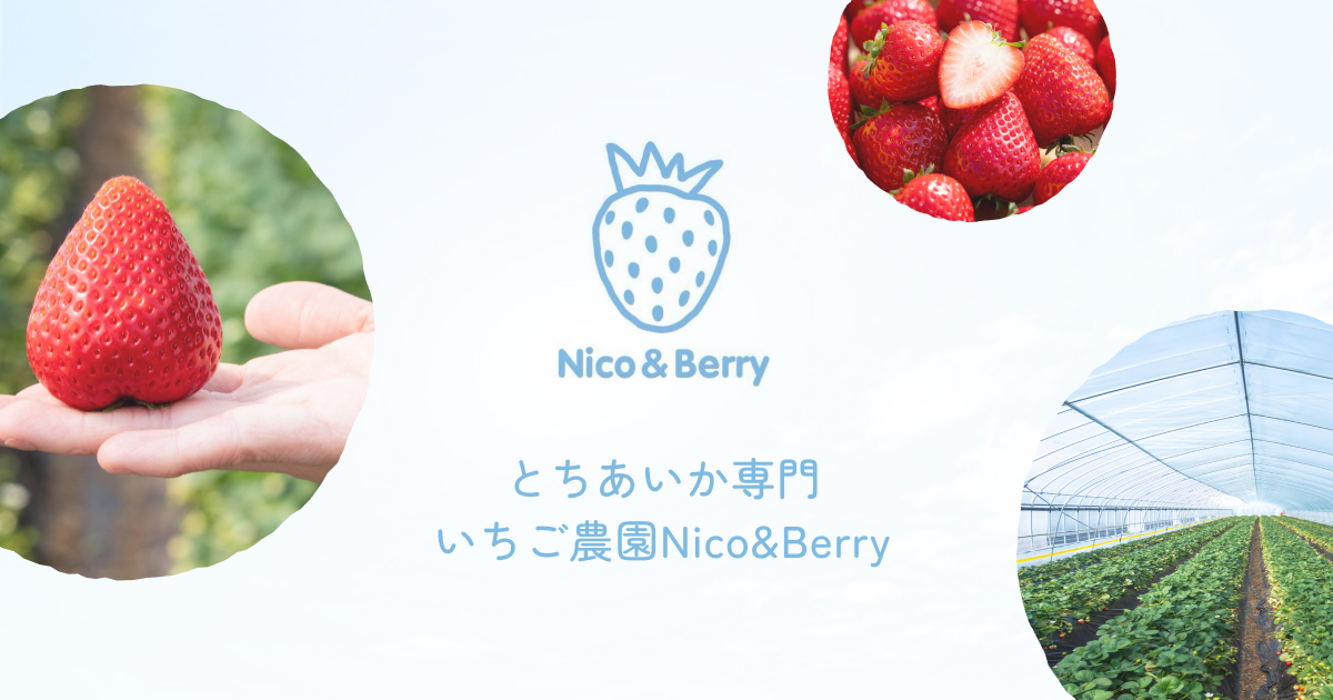 サイト公開のお知らせ