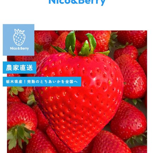 オンラインショップ